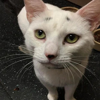 èū������èͷ��������ȴ��������ԭ�������Դ�����ü��