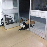 ˱̧ϾȻ󣬹͵͵ſ˼ʮ