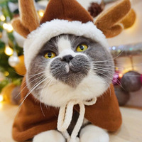 ���Ѽҵ���è��ȫ�����¶���˵���㣡