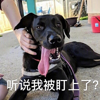 Ϊĸкдһ