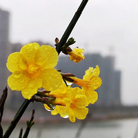 ���£����!