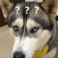 ˸Ĺʿ˸ʲô?
