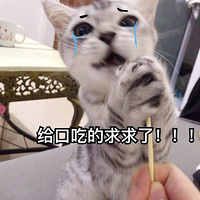 λܰҰèPһ㣿