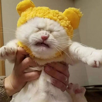 è����ʺ�ٴ���ñ�Ӻ������沿���Σ�����Цʺ��