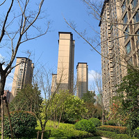 ̫���ճ����𡭡������ս�Ҫ�����Ų�