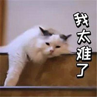 �¼ҳ������ӾӼ�ѧϰ����ĸ�������飬����߼��Ŀγ� ��