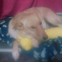 ������������ѩ���ڳ�һ��С�ѣ�־Ը�߷������Ķ��Ӻ����...