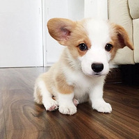 �������ڴ����磿��ʱ��������������ô�򵥣�