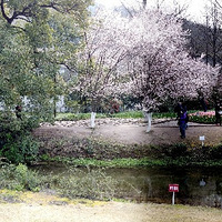 ����֮�£�����̫������ʻ���Ȼ����