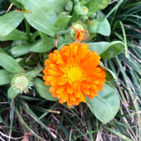 �������˳���f�ŷ�����