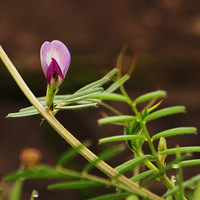 ���˸�Ů�ڿ���!