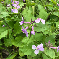 ����һ�����ʿ���