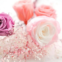 ��Ů��ڡ�����һ�����ţ��ȴ����ա�