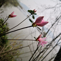 ��ů����