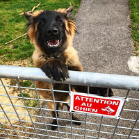 ���㿴����Щ��ʾ�ƺ�һ��ҪС�ģ�