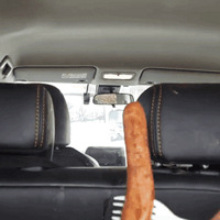 ������һ�����ƣ���¶��Ů���Ů���ӵ�����