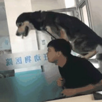 �Ⱳ���߹����·�����ǹ����ǵ���·��