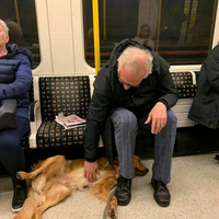 ���ë������ȫ�̺�·�˴������Σ�Ψ�������Լ��Ĳ�ʺ�١�