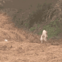 ���˹��������ߵ���������գ����ٺ�������������......