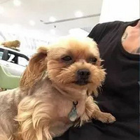 �⹷ʵ��̫���ģ�һ����Ů�ͷɱ���ȥ�����ְ���֮�Ժ�