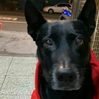 ����ע�����������Ĺ��������������Լ�8��ǰ��һ�ž����С�