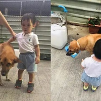 13���Ϲ�ȥ�����꣬С����ͻȻ�����ſں����ǹ���