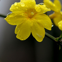 ��ȥ������