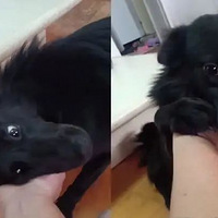 걦ȥΣȥչС