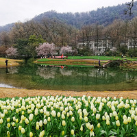 ��ɫ����