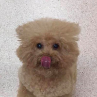 СˣʱСĹۣʯӡЦˣ