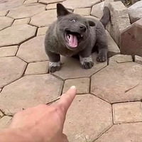 ��Щ���ӣ���һ�۾������ˣ�