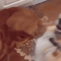 ۡսжྫʣ缸·ȻȫУ