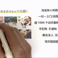 ��ɽ2���½�ë����������ҧ�ֽţ��ñ����¹��������˸�����