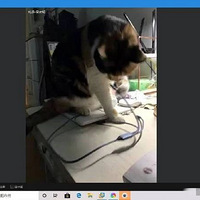 ���������ε�ʱ����ʦ������ֱ��ߣè...