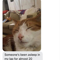 ����һȥ��Ʊ�ҹ�ҹ������͸����ͷ�èƬ��