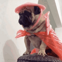 ÿ�����ӣ����ж���һ�������Σ�