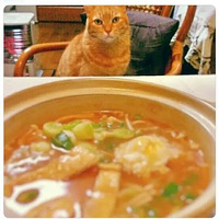 ԭ������èè̸�������������ͻ��˰���