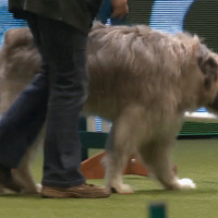 ����Ȯ�μӱ���3�꣬���궼ʧ�ܣ�������ó�����