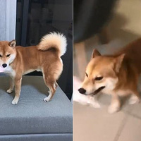 ���а�Ȯ��͵͵ҧ�߱��ֽ𻹹�Ķ�����...