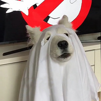 ���������࣡�ż���ô���Բ��������ء�