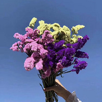 �̲�Ҫ���� ����Ҫ�ӱ� ����Ҫ����ʽ��