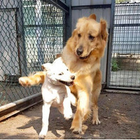 ���ⷢ�֣�С������ȥѧУѧ���ǣ�չ��г���츳