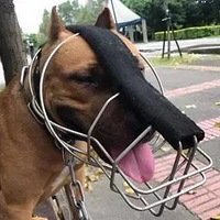 ��˳�����߽���ͯ��԰���ҳ�ȴ�ڳ����ԣ�