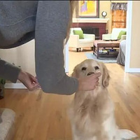 ������ҳ��ߣ�����������ʱ�յ�������Ϣ������������