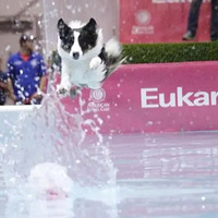 �������ŷ���Ĺ����˶������������ù�����ˮ