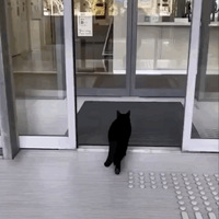 �����ˣ���������Ӳ�������ݣ��ձ���ֻè�ñ�����������ɽ��