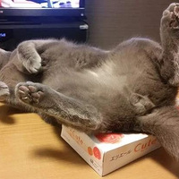 è�����ѿ�����ʱ���¶�������Ҳ�����