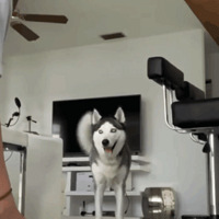 ���ѼҵĶ���������ë��ÿ�������������ӡ���������������޶��ë