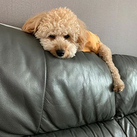 ���ڼ�լ��һ���º��Ҽҹ�����ҵ����񶼲�һ���ˡ�����