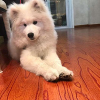 ����ȥ��������Ħ�Ͱ����ؼң�ͬ���Ǹ�ϴ���裬������ô����ô